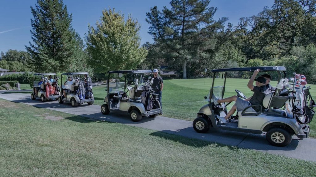 golf cart business