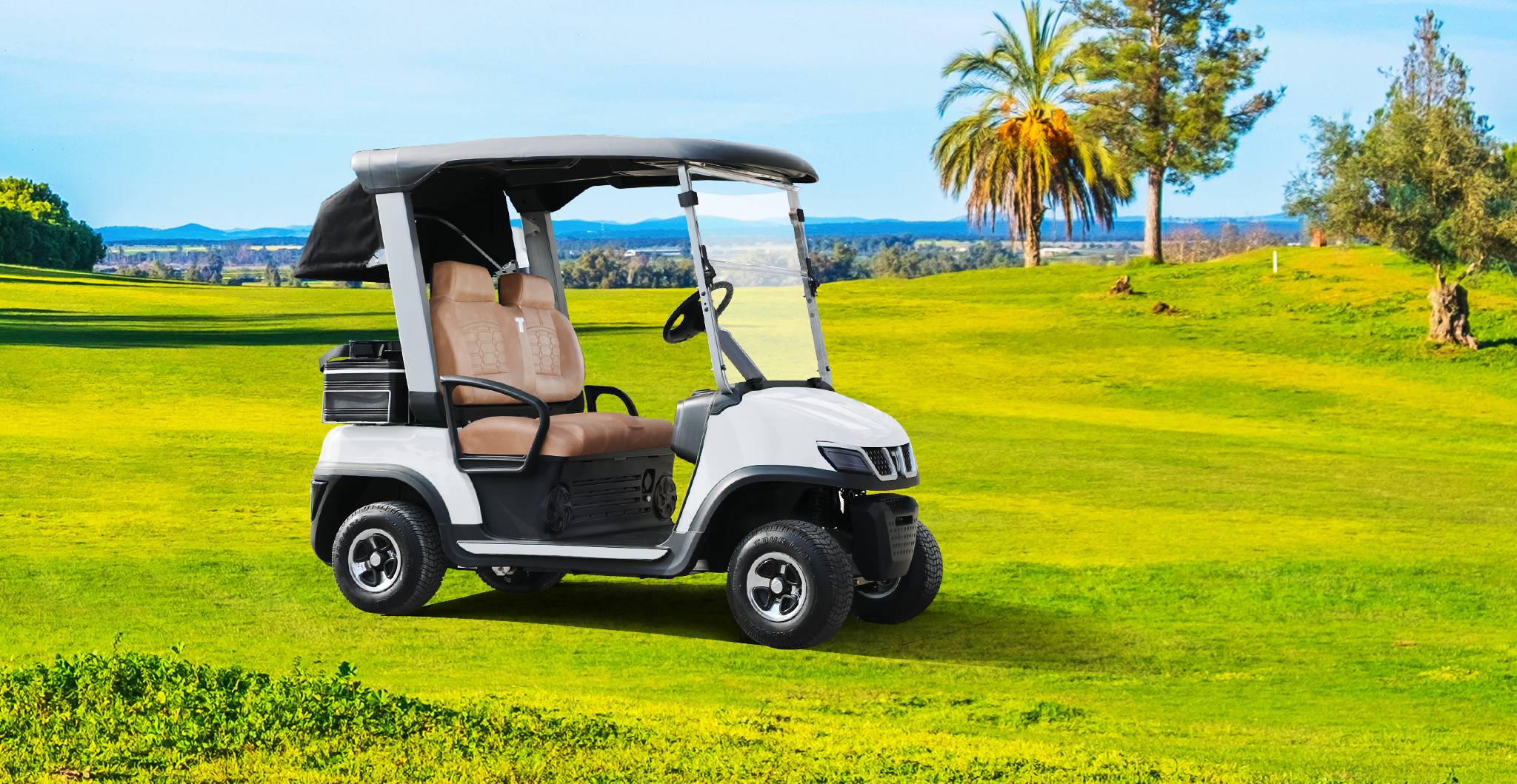What to look for when buying an electric golf cart