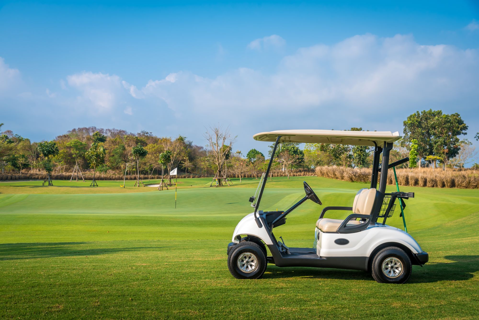 5 Hidden Costs to Consider Before Buying an Electric Golf Cart